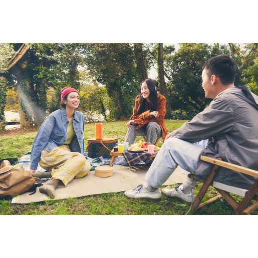 Sony Lautsprecher, Bluetooth kabellos SRSXE200D.CE7 orange Sony Lautsprecher, Bluetooth kabellos SRSXE200D.CE7 orange
